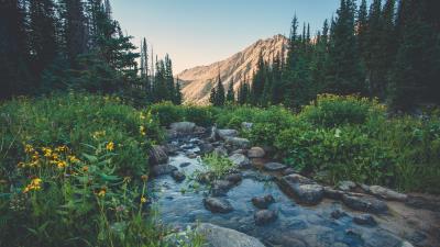 Creek flowers mountains grass 4k wallpaper