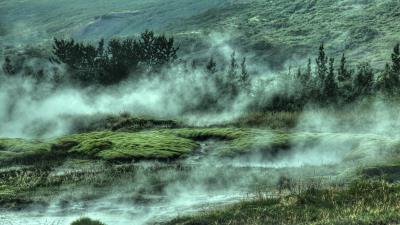 Bushes hills fog 4k wallpaper