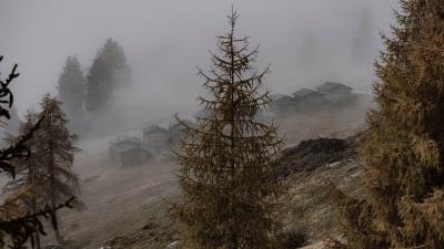 Derevia tuman zdaniia 4k wallpaper