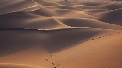 Desert dunes sand 4k wallpaper