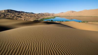 Desert sand patterns lines oasis lake coast vegetation wallpaper 4k wallpaper