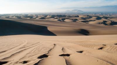 Desert sand traces 4k wallpaper