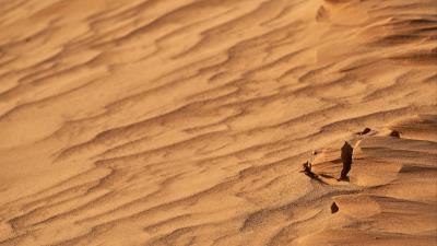 Desert sand wavy 4k wallpaper