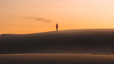 Desert sunset silhouette 4k wallpaper