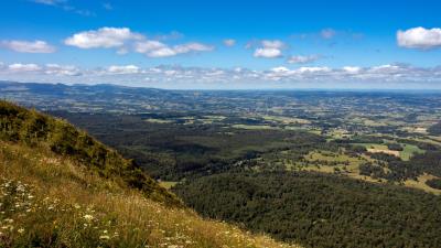 Distance slope grass 4k wallpaper