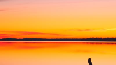 Driftwood water sunset 4k wallpaper