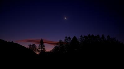 Dusk star trees 4k wallpaper