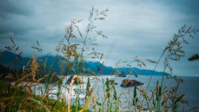 Ears grass mountains 4k wallpaper