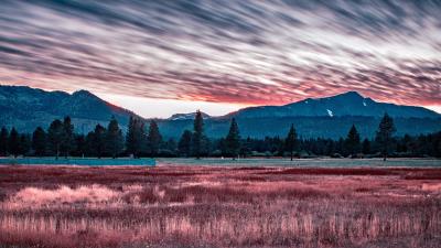 Fence field grass 4k wallpaper