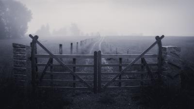 Fence fog grass 4k wallpaper
