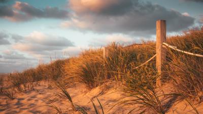 Fence sand grass 4k wallpaper