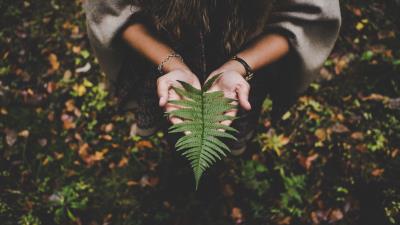 Fern leaf hands palms autumn 4k wallpaper