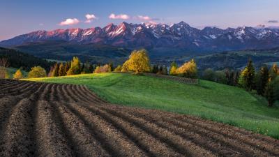 Field Mountain Nature Wallpaper 4k wallpaper