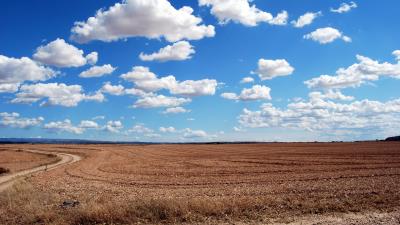 Field clouds grass sky road 4k wallpaper