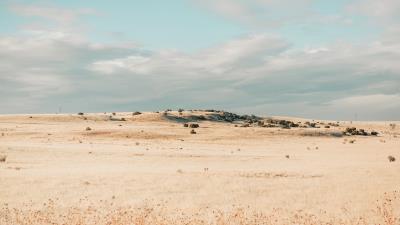 Field drought grass 4k wallpaper