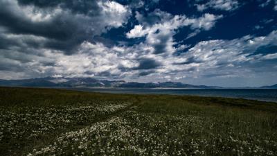 Field flowers clouds mountains 4k wallpaper