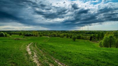 Field grass sky 4k wallpaper