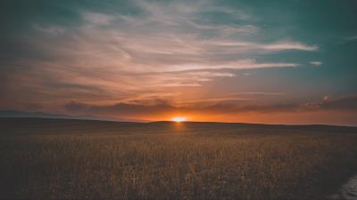Field grass sunset sky 4k wallpaper