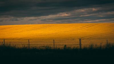 Field hill clouds 4k wallpaper