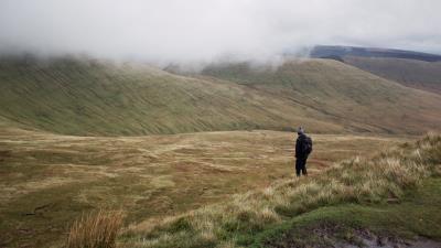 Field man grass walk 4k wallpaper