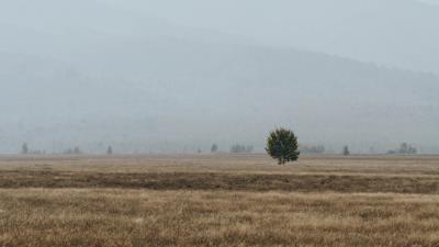 Field mountains fog 4k wallpaper