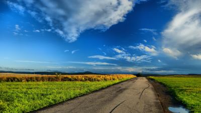 Field road puddles landscape wallpaper 4k wallpaper