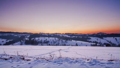 Field snow winter sunset 4k wallpaper
