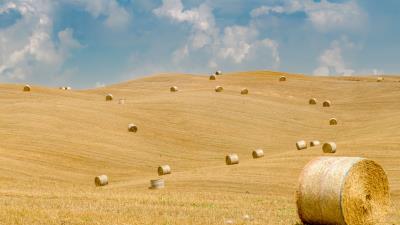 Field straw bales 4k wallpaper