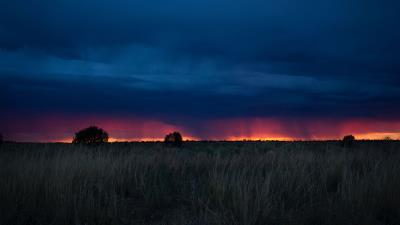 Field sunset grass clouds 4k wallpaper