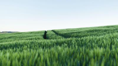 Field trace hill 4k wallpaper