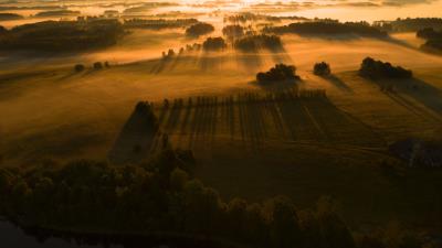 Field trees grass 4k wallpaper