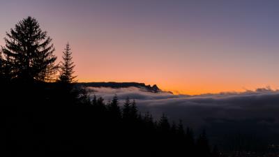 Fog horizon sunset 4k wallpaper