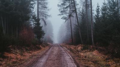 Fog road gloomy 4k wallpaper