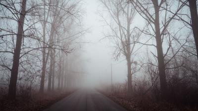 Fog road trees image 4k wallpaper
