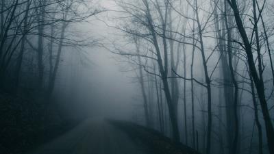 Fog road trees picture 4k wallpaper