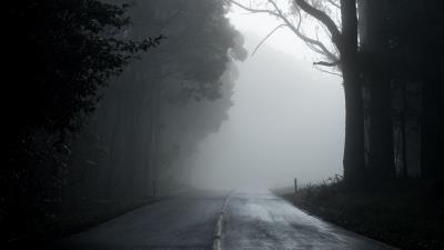 Fog road trees 4k wallpaper