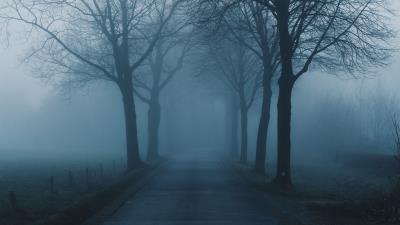Fog trees road 4k wallpaper