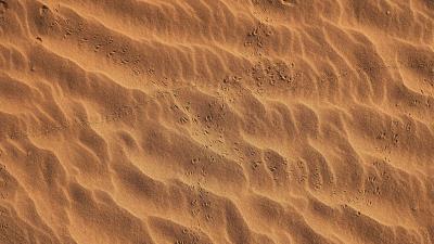 Footprints beach sand 4k wallpaper
