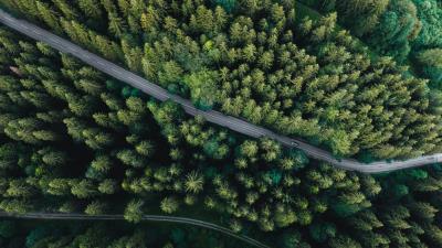 Forest aerial view road 4k wallpaper