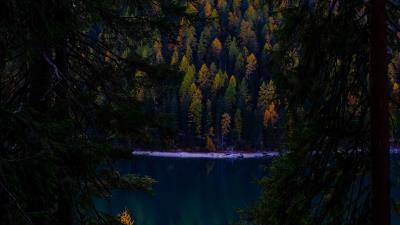 Forest autumn lake 4k wallpaper