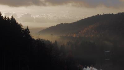 Forest fog hills 4k wallpaper