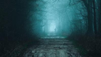 Forest fog road image 4k wallpaper