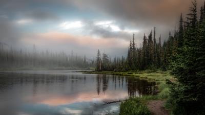 Forest lake grass image 4k wallpaper