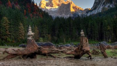 Forest mountains driftwood rocks landscape 4k wallpaper