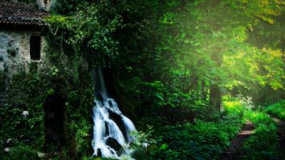 Forest nature building waterfall landscape wallpaper 4k wallpaper