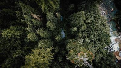 Forest river aerial  view 4k wallpaper