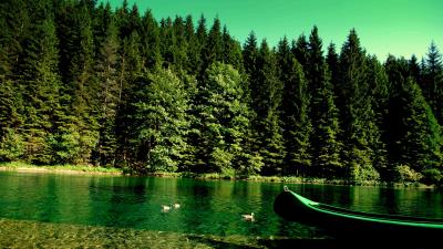 Forest river boat nature wallpaper 4k wallpaper