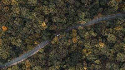 Forest road aerial view picture 4k wallpaper