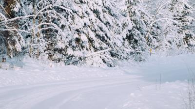 Forest snow road 4k wallpaper