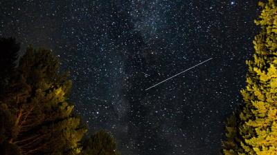 Forest starry sky starfall 4k wallpaper